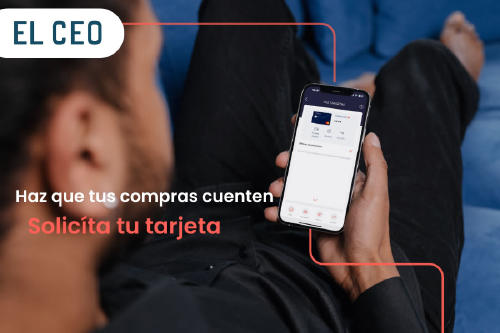 TDC_el_ceo TDC_el_ceo